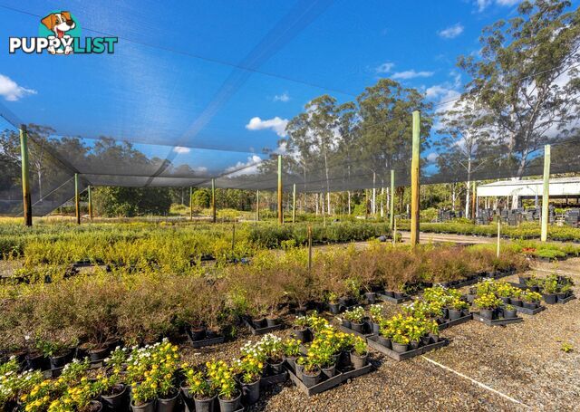 Parkland Wholesale Nursery TINONEE NSW 2430