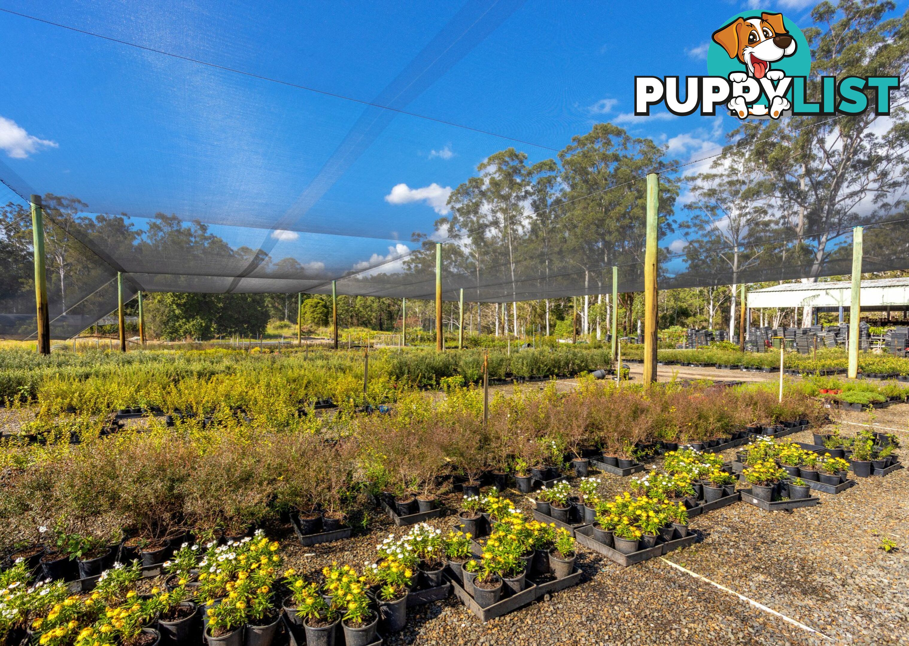 Parkland Wholesale Nursery TINONEE NSW 2430