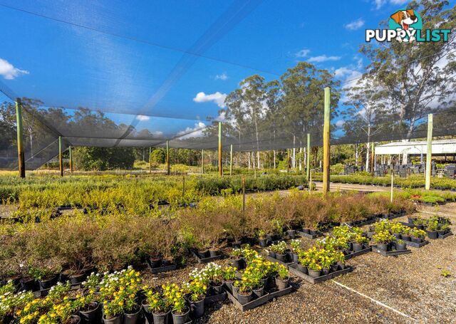 Parkland Wholesale Nursery TINONEE NSW 2430