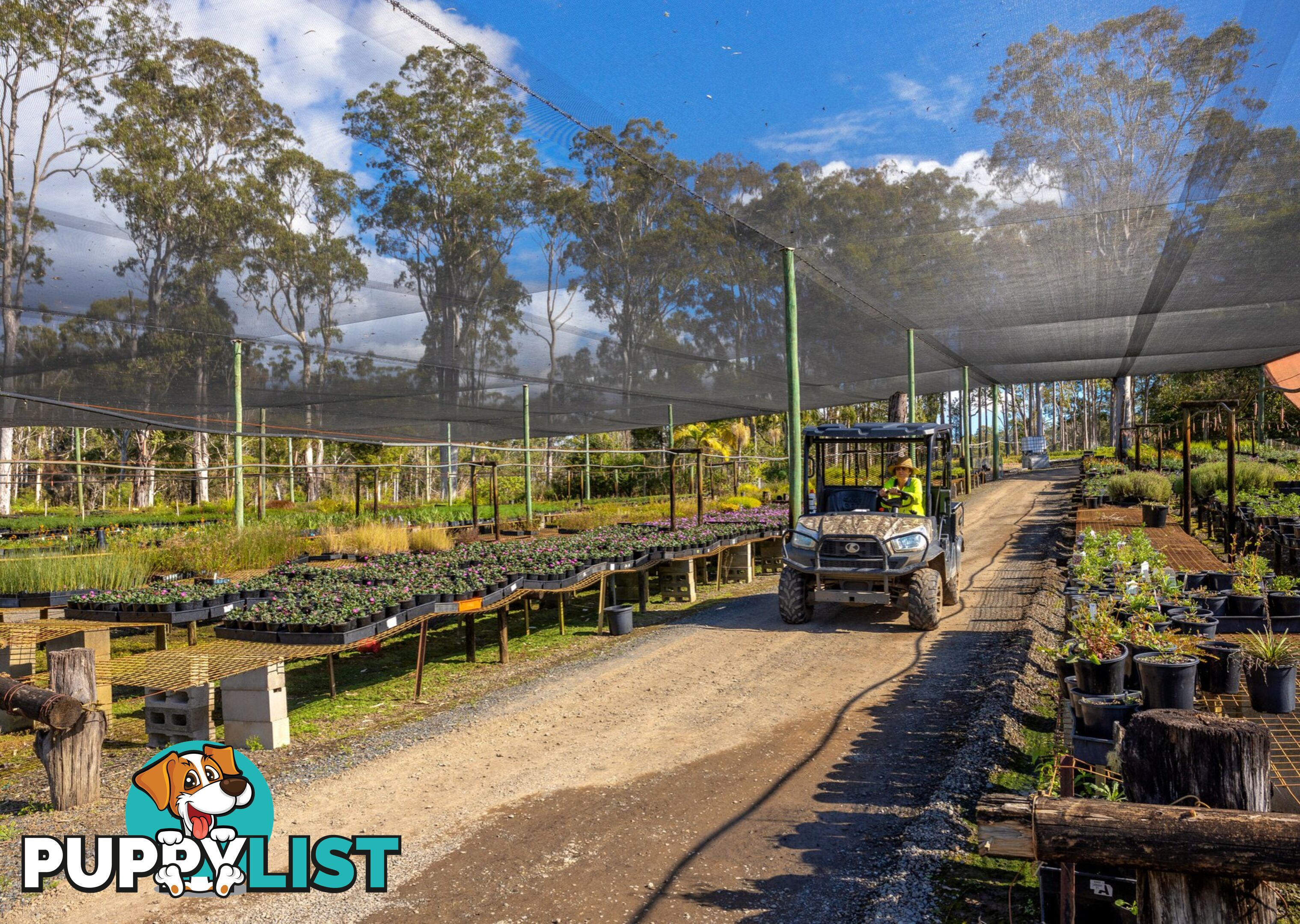 Parkland Wholesale Nursery TINONEE NSW 2430