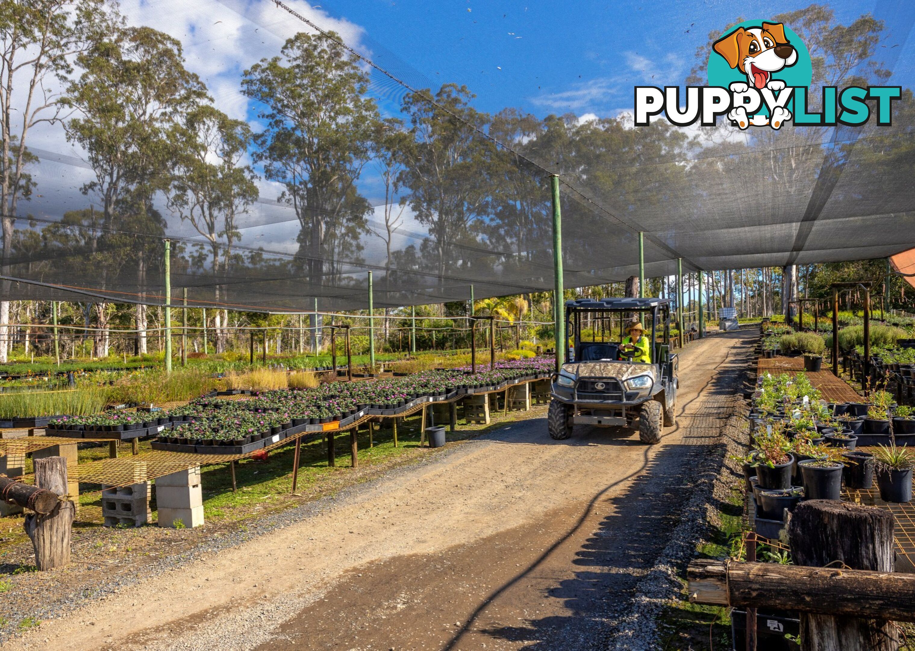 Parkland Wholesale Nursery TINONEE NSW 2430