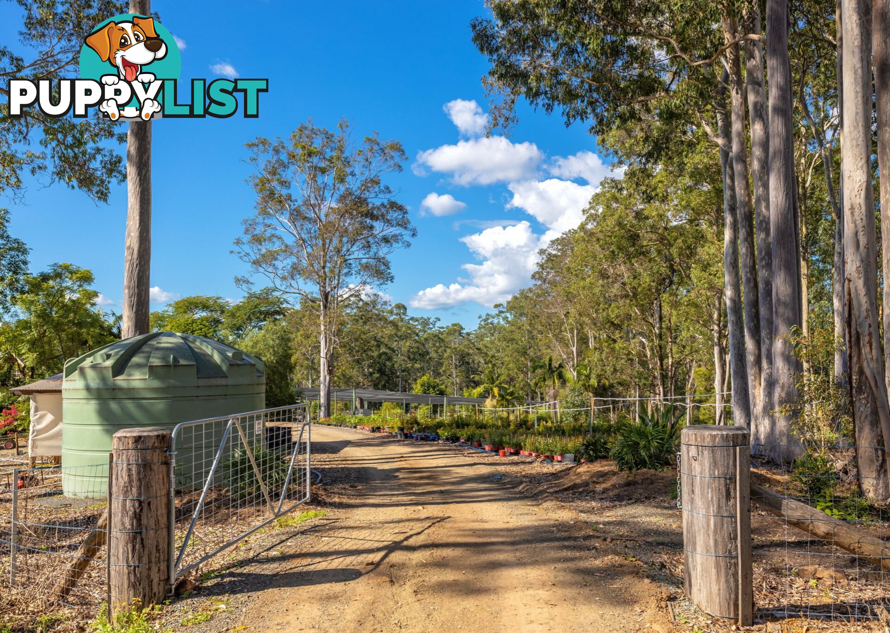 Parkland Wholesale Nursery TINONEE NSW 2430