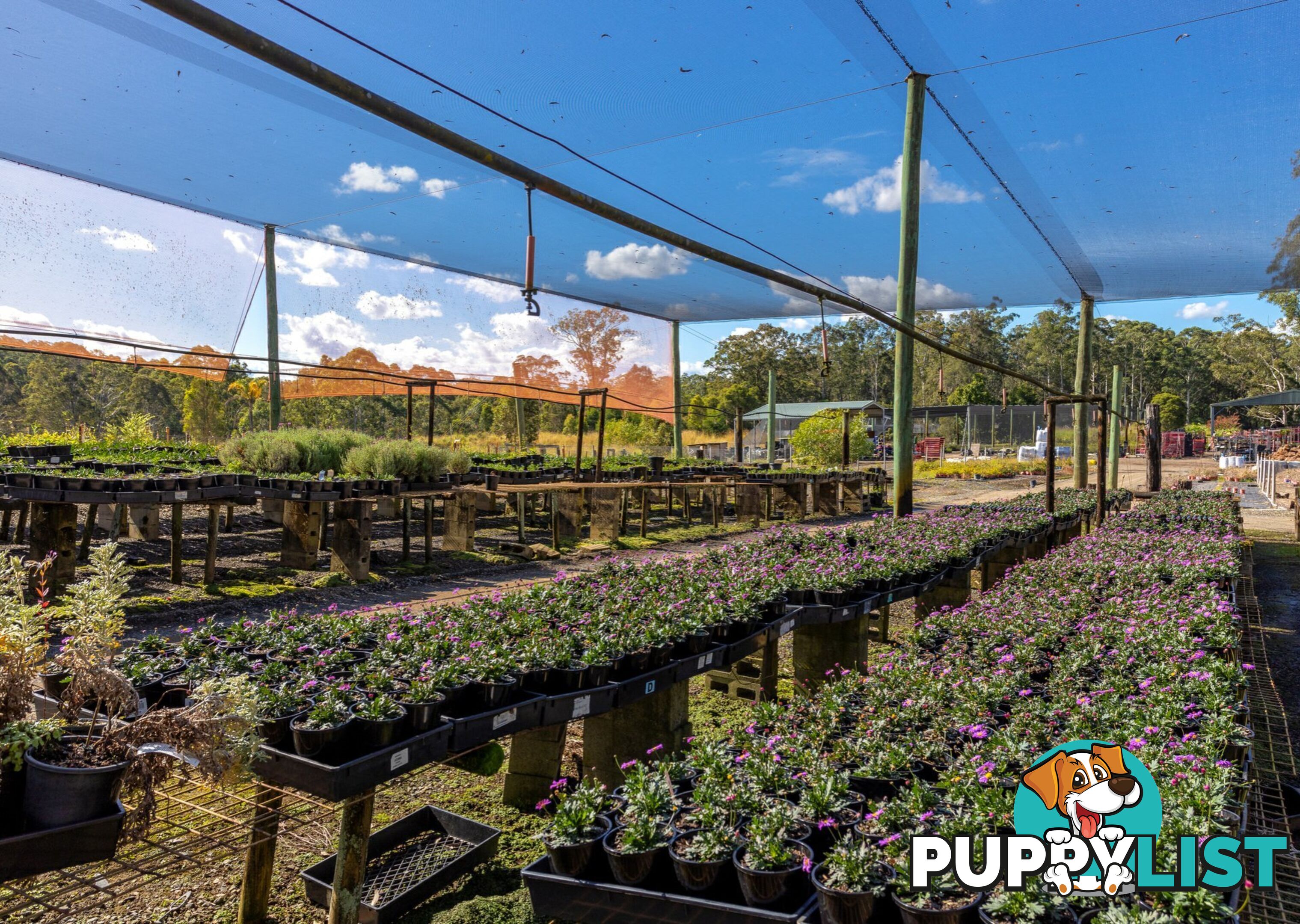 Parkland Wholesale Nursery TINONEE NSW 2430