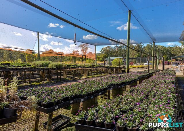 Parkland Wholesale Nursery TINONEE NSW 2430