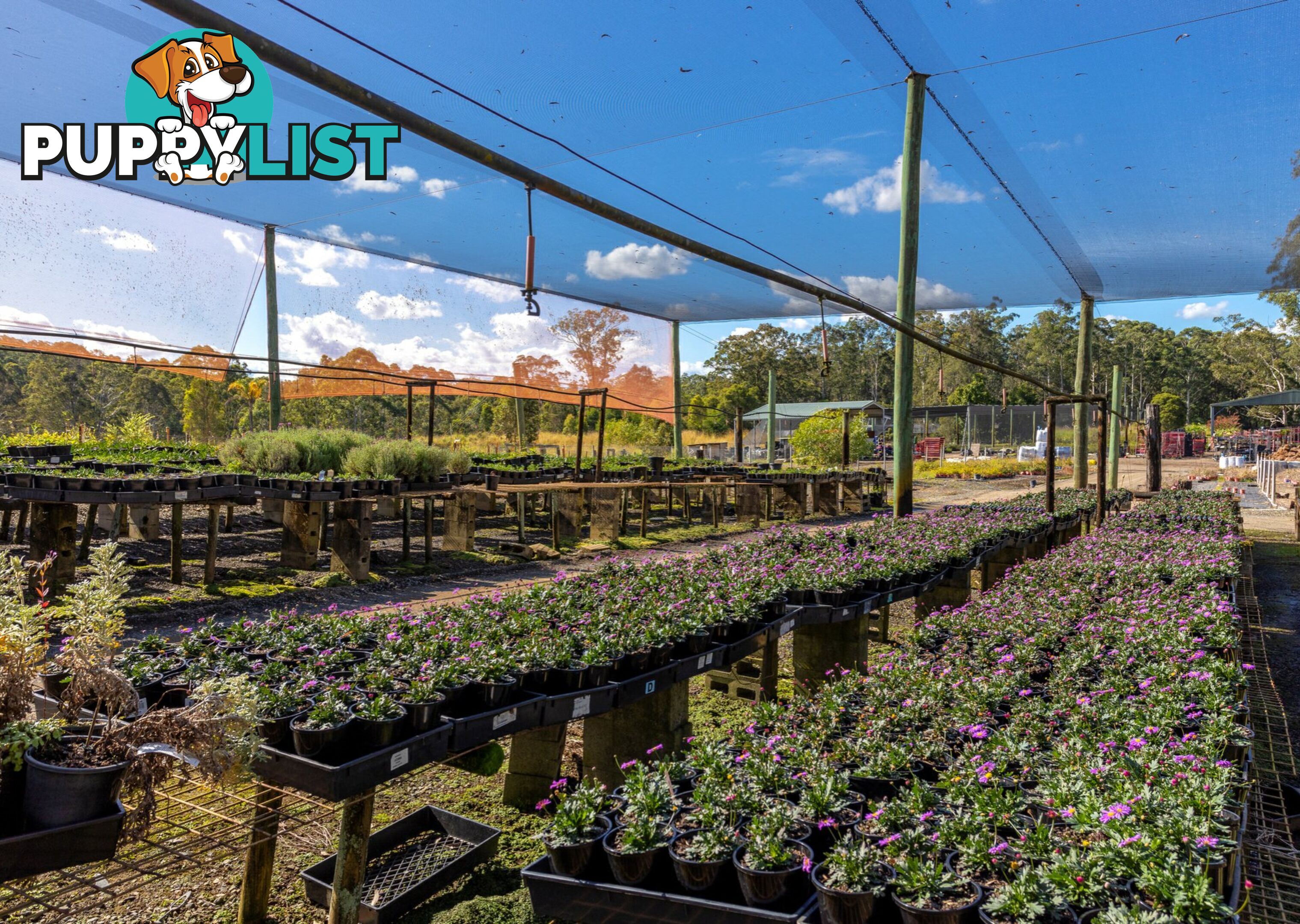 Parkland Wholesale Nursery TINONEE NSW 2430