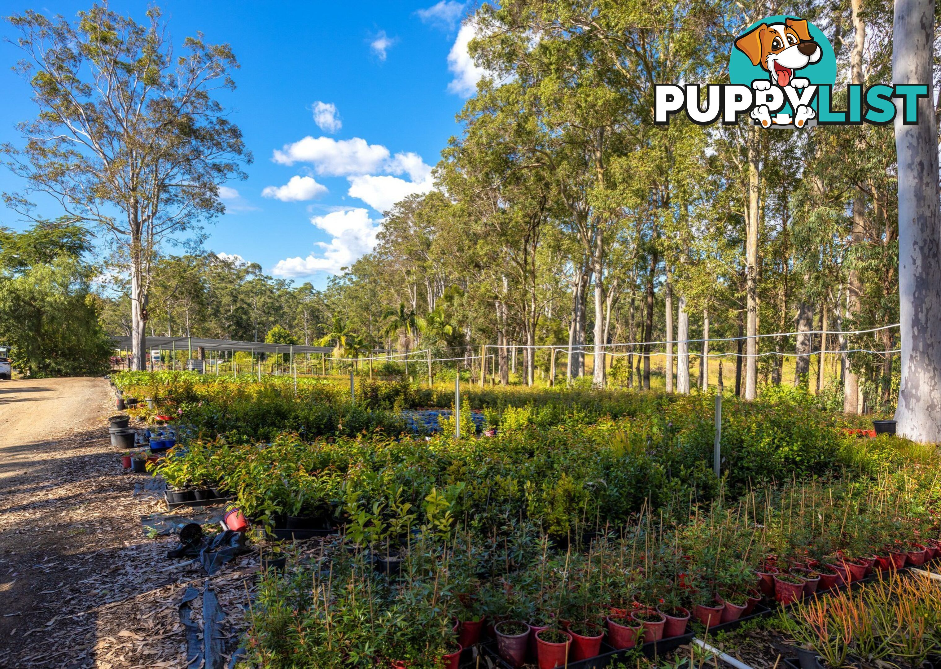 Parkland Wholesale Nursery TINONEE NSW 2430