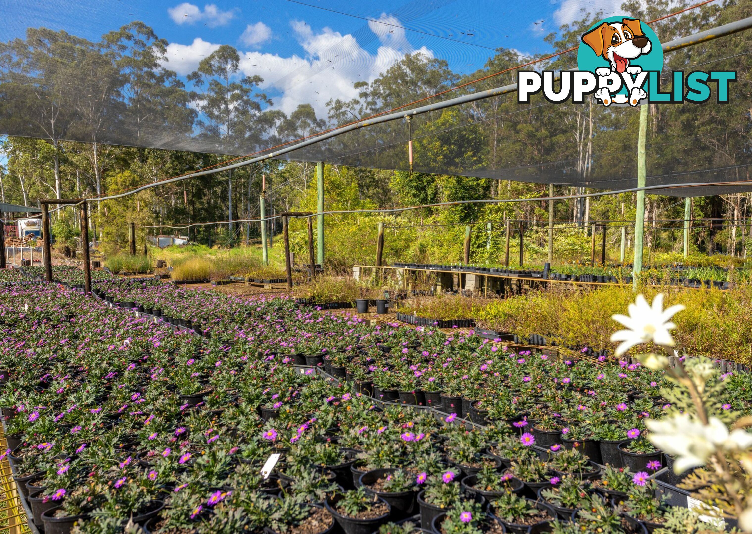 Parkland Wholesale Nursery TINONEE NSW 2430