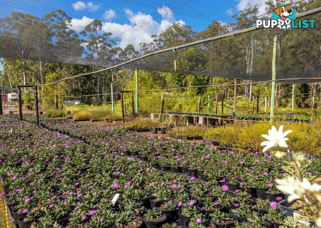 Parkland Wholesale Nursery TINONEE NSW 2430