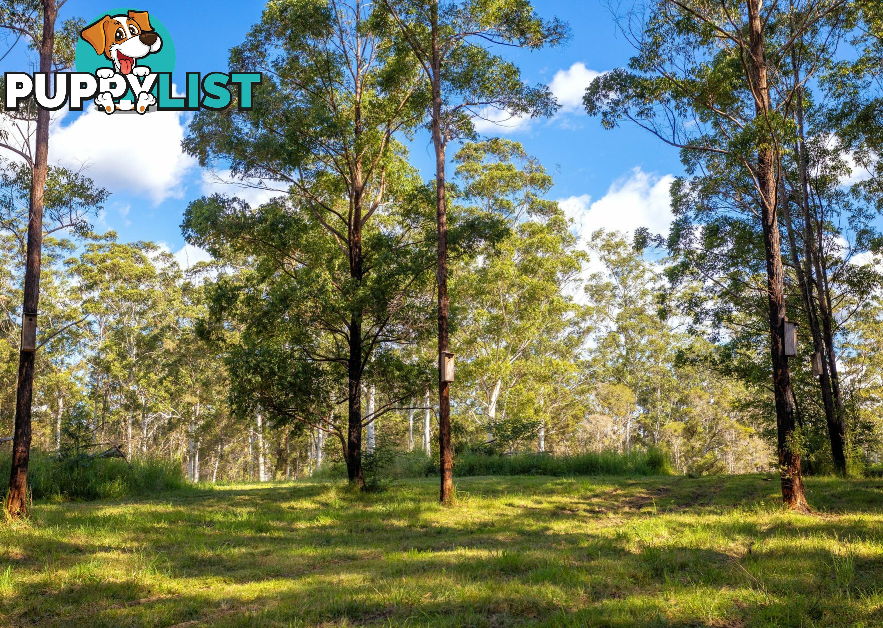 Parkland Wholesale Nursery TINONEE NSW 2430