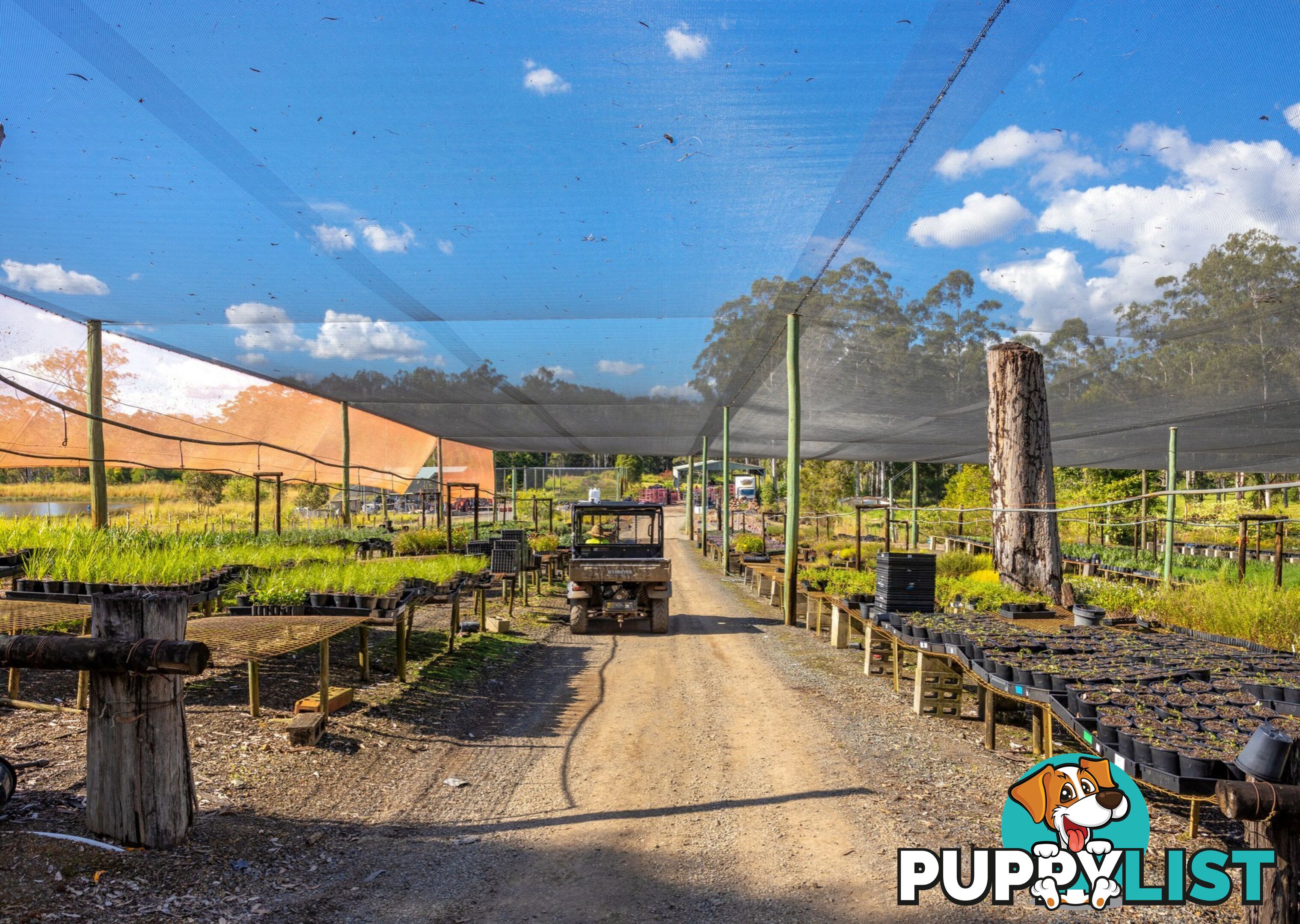 Parkland Wholesale Nursery TINONEE NSW 2430