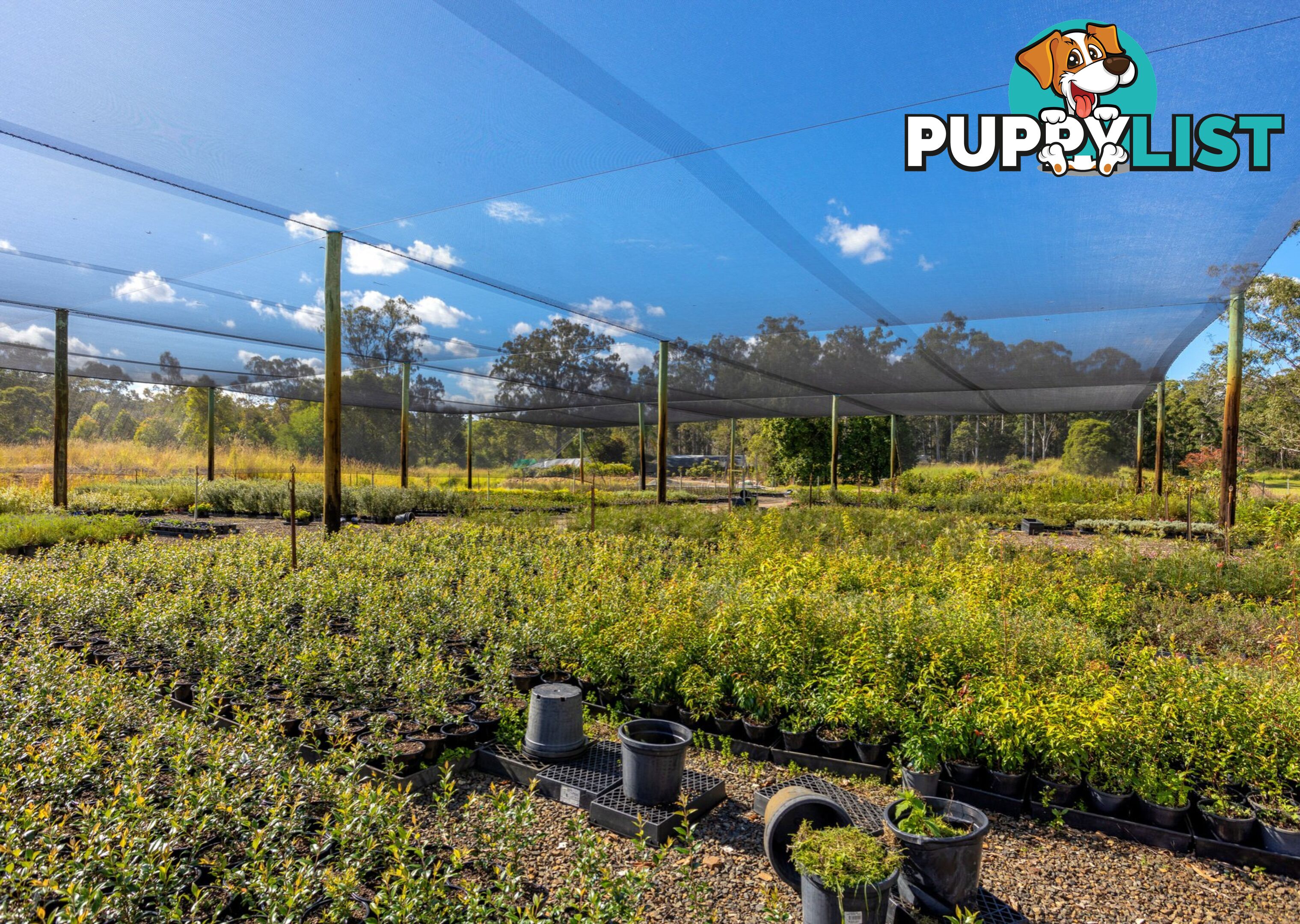 Parkland Wholesale Nursery TINONEE NSW 2430