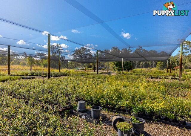 Parkland Wholesale Nursery TINONEE NSW 2430