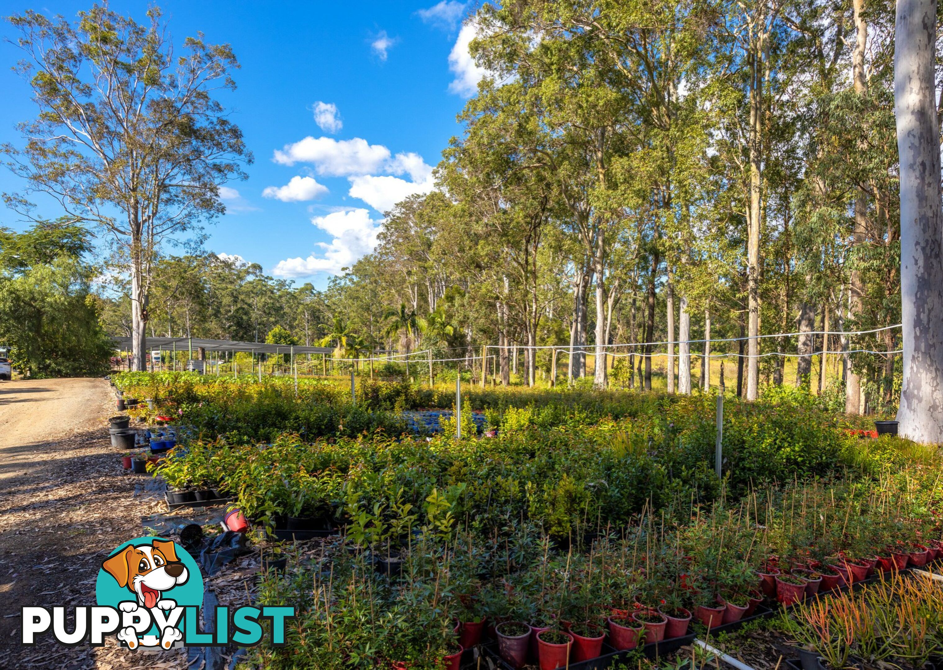 Parkland Wholesale Nursery TINONEE NSW 2430