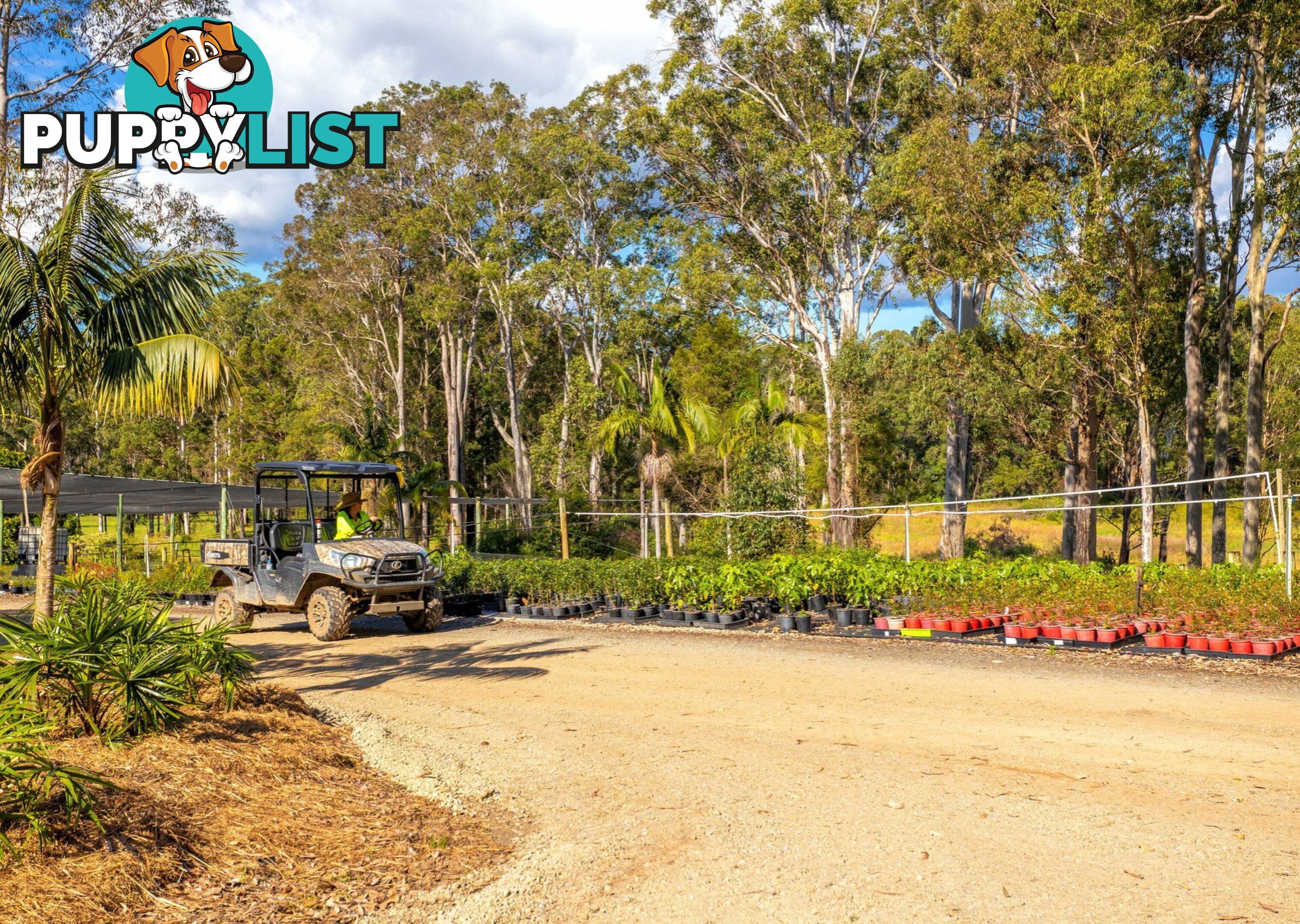 Parkland Wholesale Nursery TINONEE NSW 2430