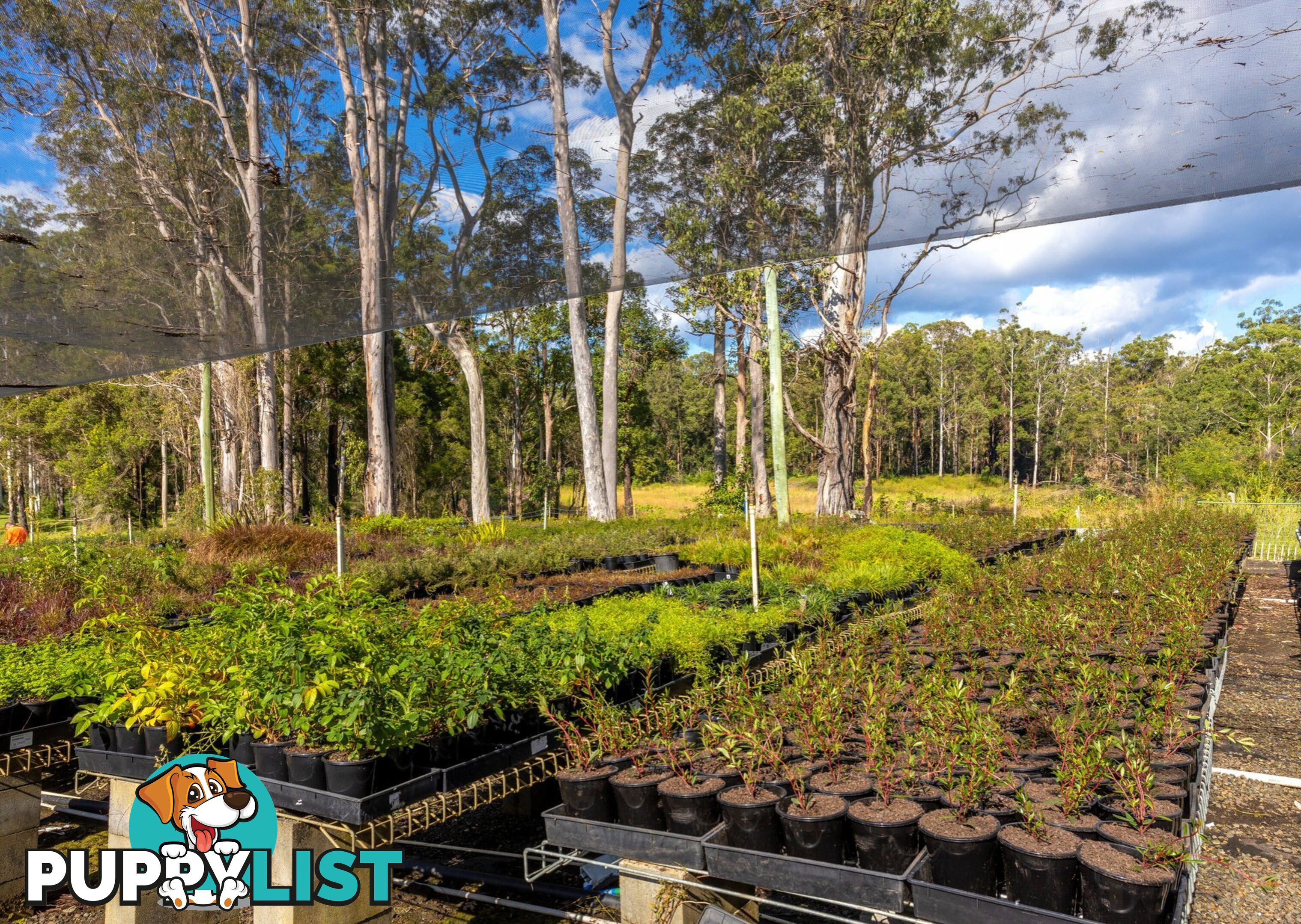 Parkland Wholesale Nursery TINONEE NSW 2430