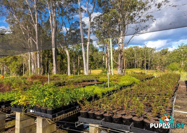 Parkland Wholesale Nursery TINONEE NSW 2430