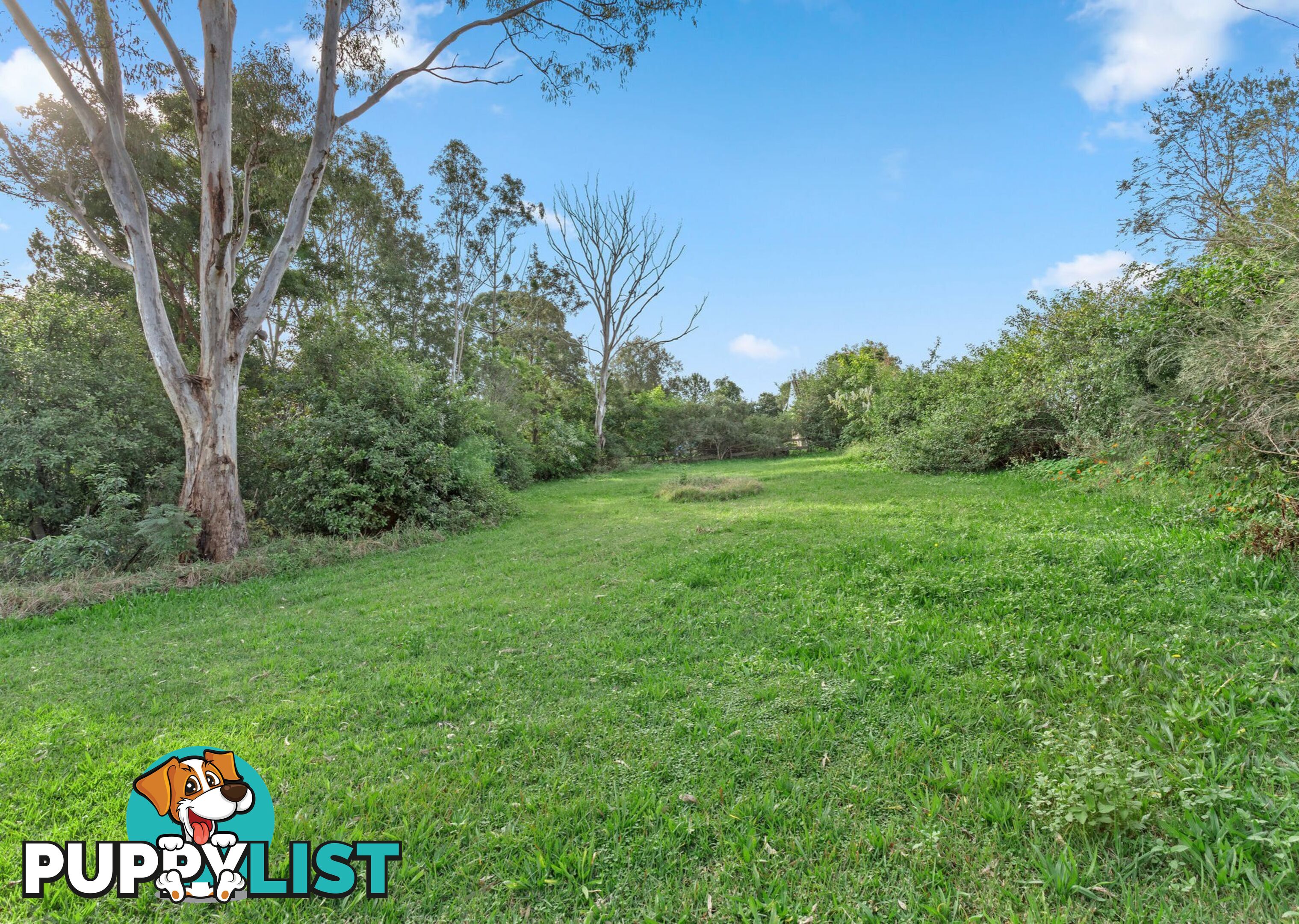 39 Peveril Street TINONEE NSW 2430