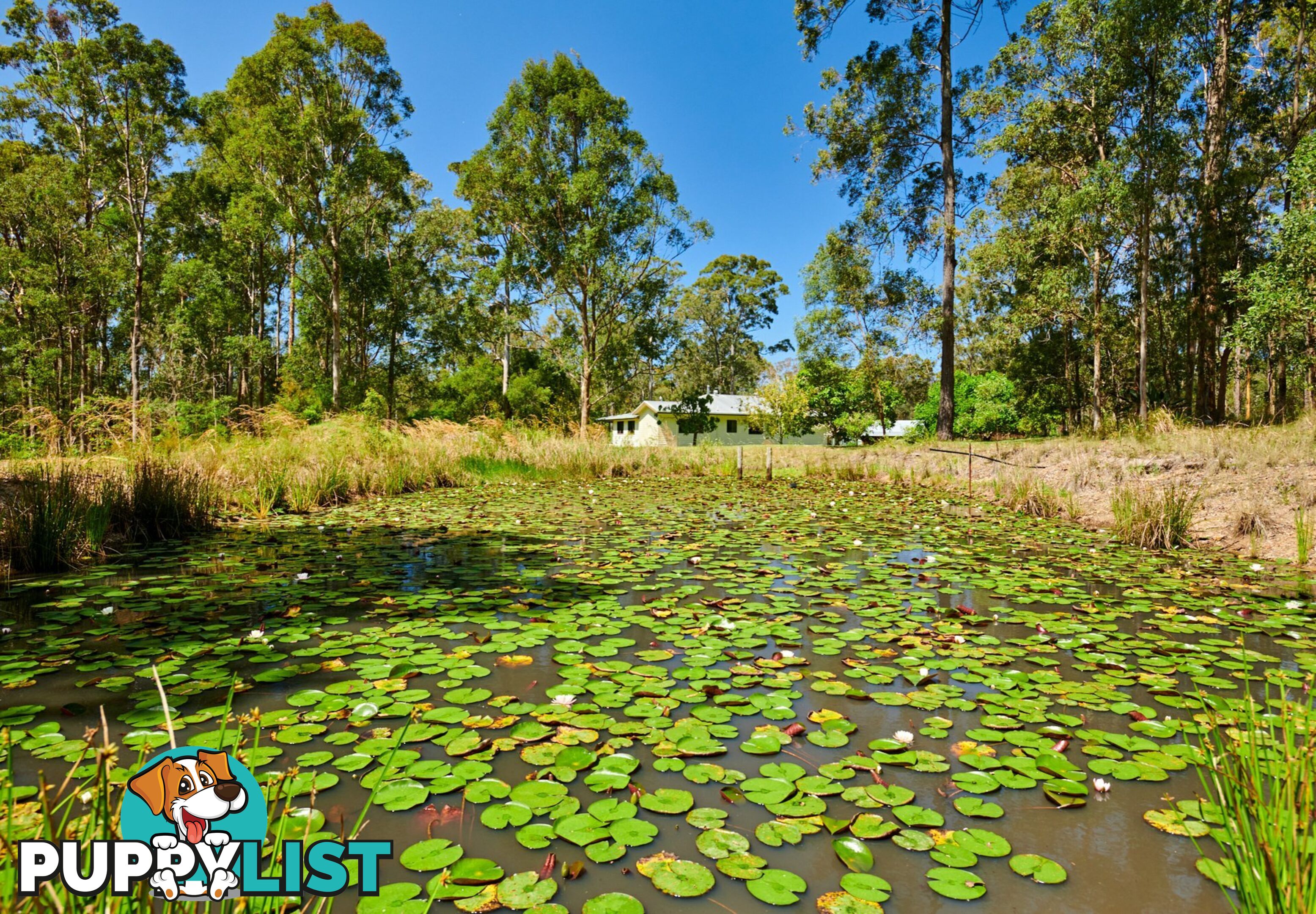 41 Upper Lansdowne Road MELINGA NSW 2430