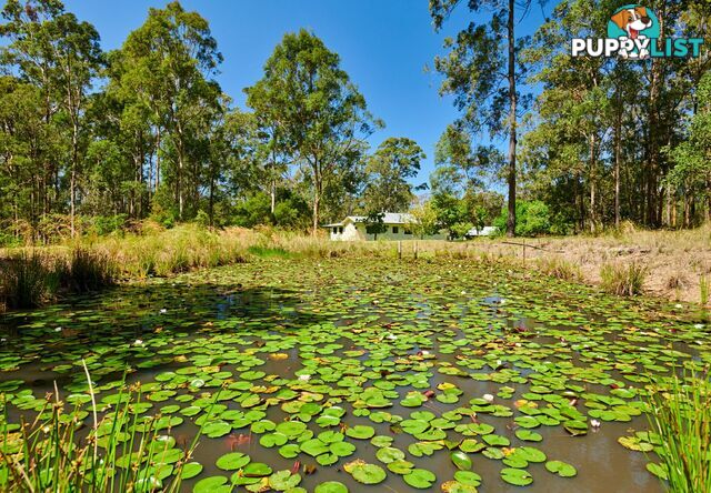 41 Upper Lansdowne Road MELINGA NSW 2430