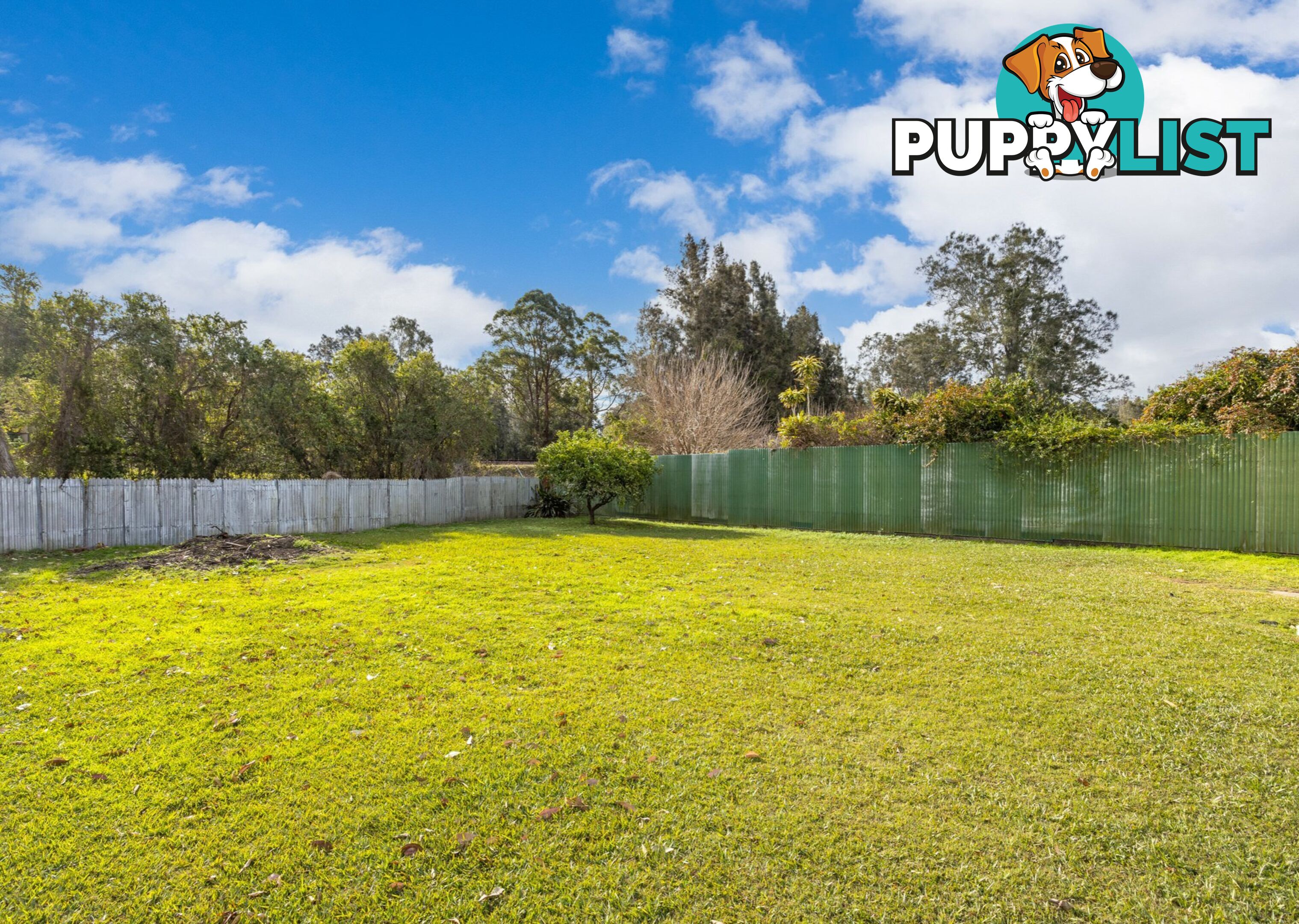 13 Railway Street TAREE NSW 2430