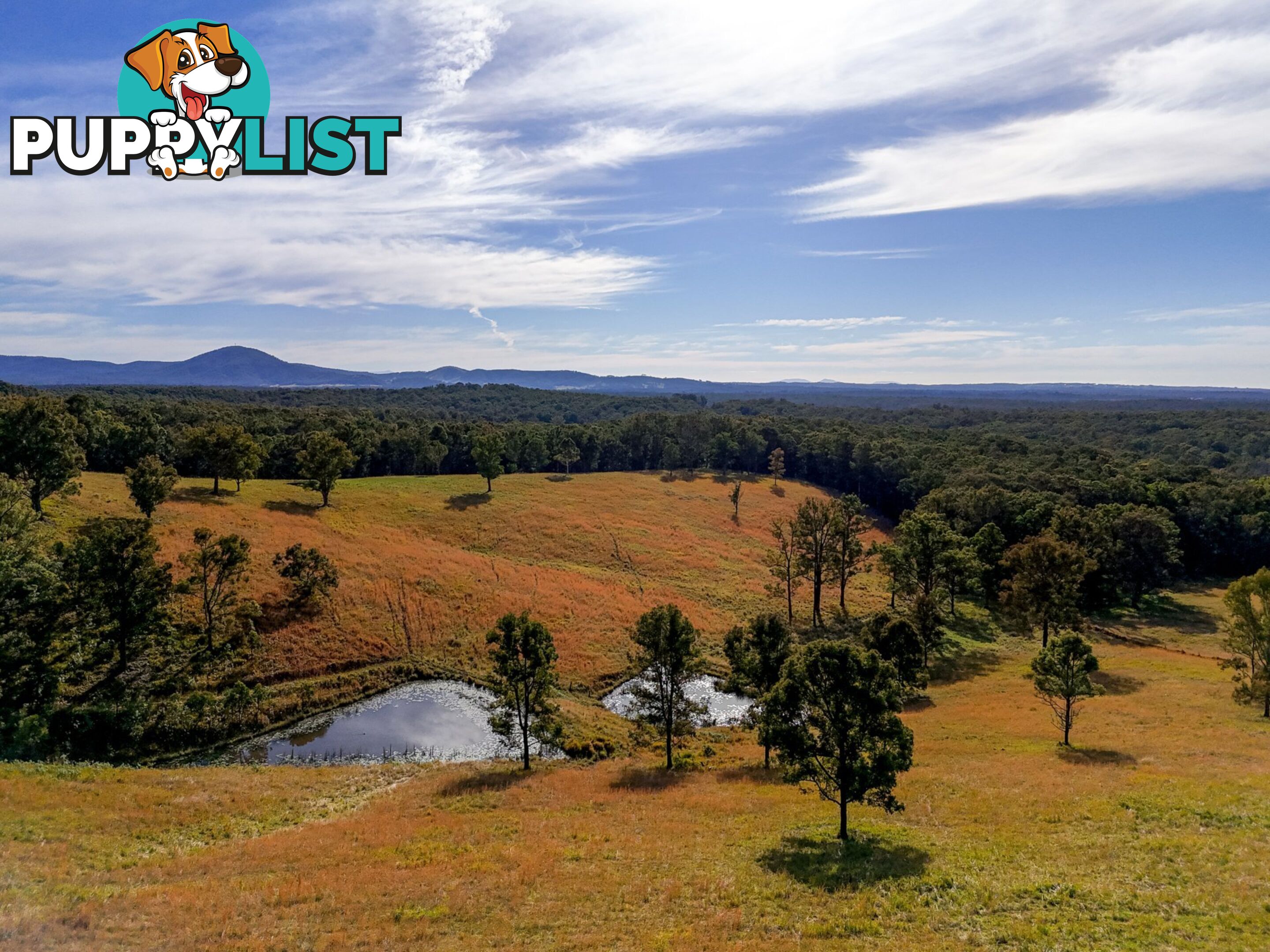 775 Minimbah Road NABIAC NSW 2312