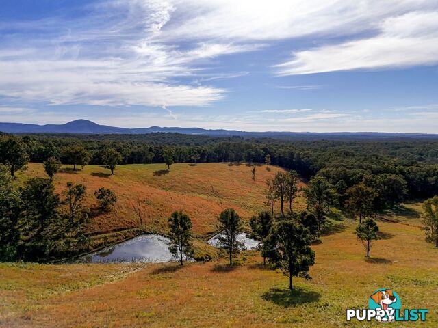 775 Minimbah Road NABIAC NSW 2312