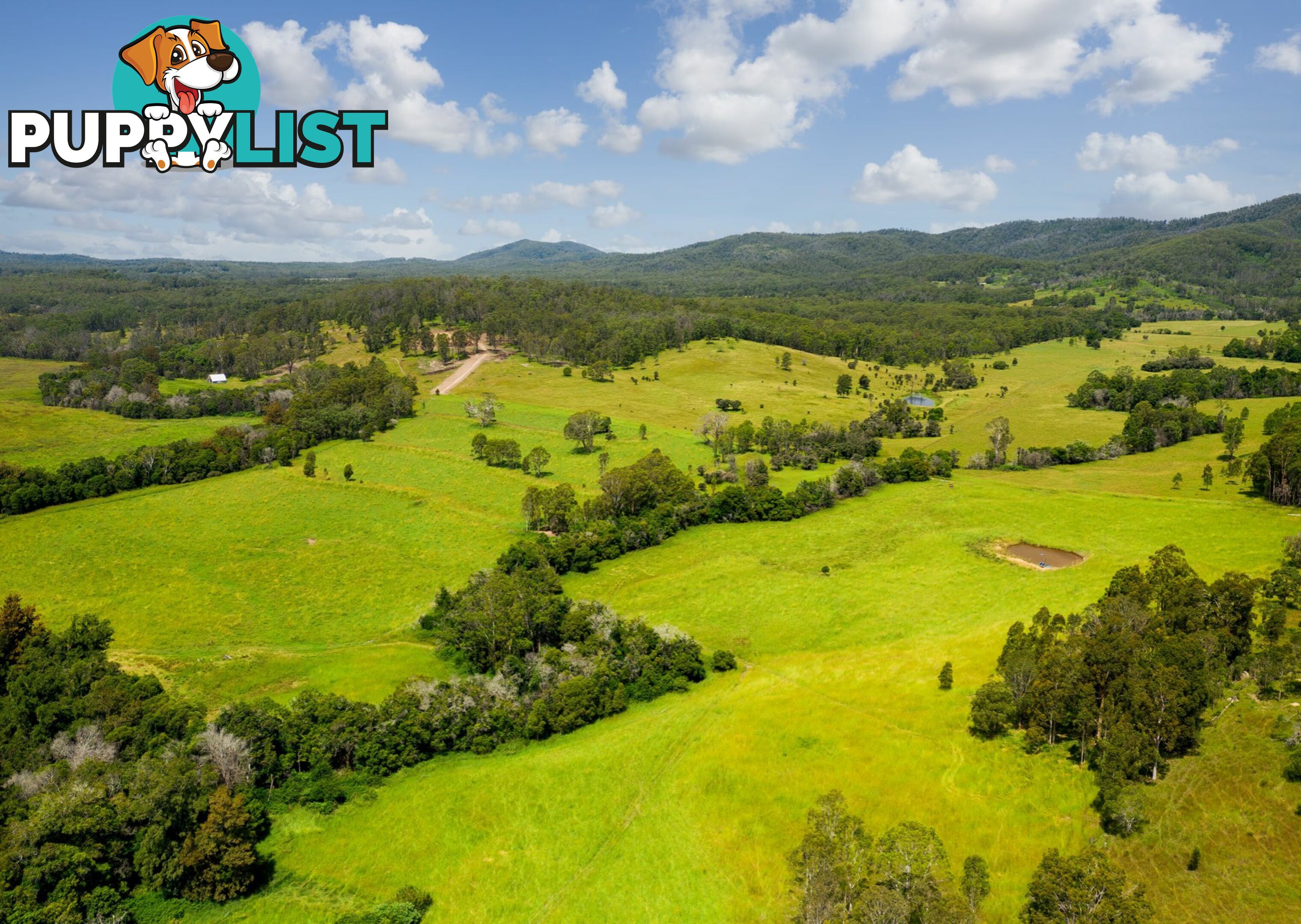 Lot 1 & 2/183 Sunshine Road HILLVILLE NSW 2430