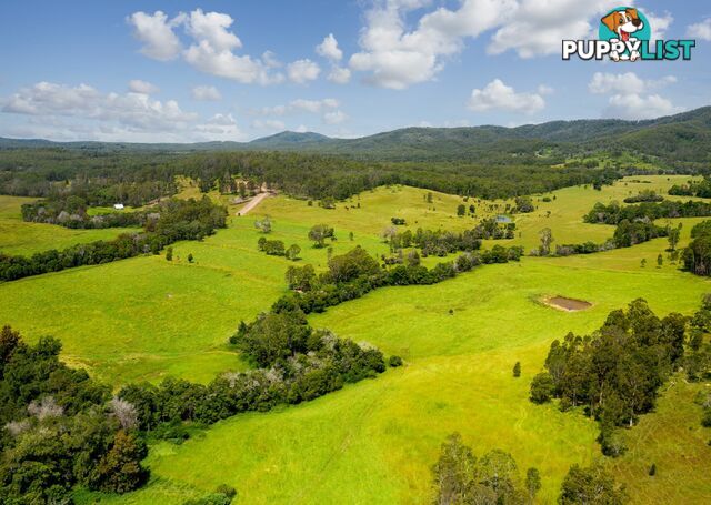 Lot 1 & 2/183 Sunshine Road HILLVILLE NSW 2430