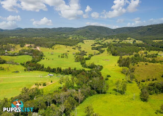 Lot 1 & 2/183 Sunshine Road HILLVILLE NSW 2430