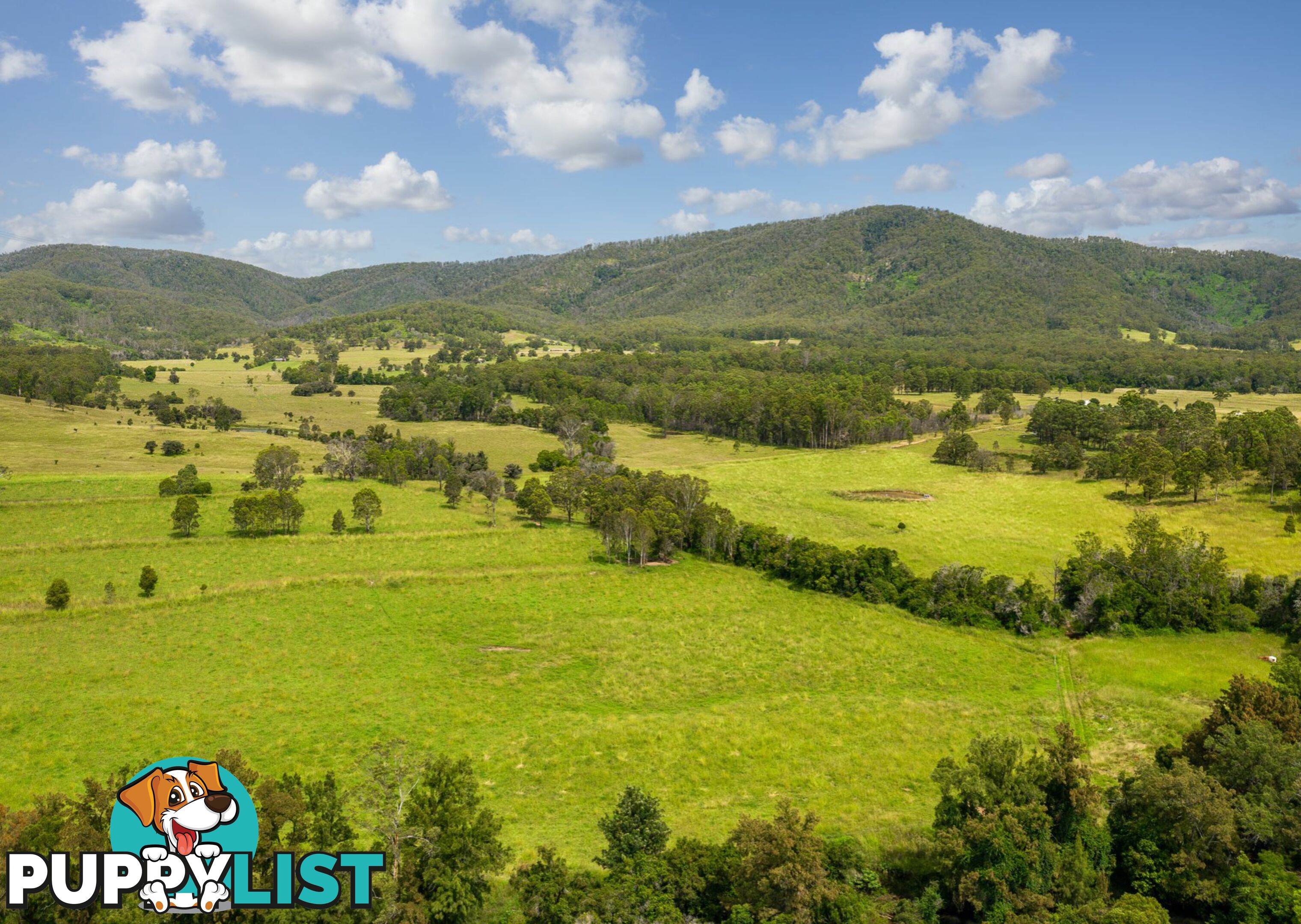 Lot 1 & 2/183 Sunshine Road HILLVILLE NSW 2430