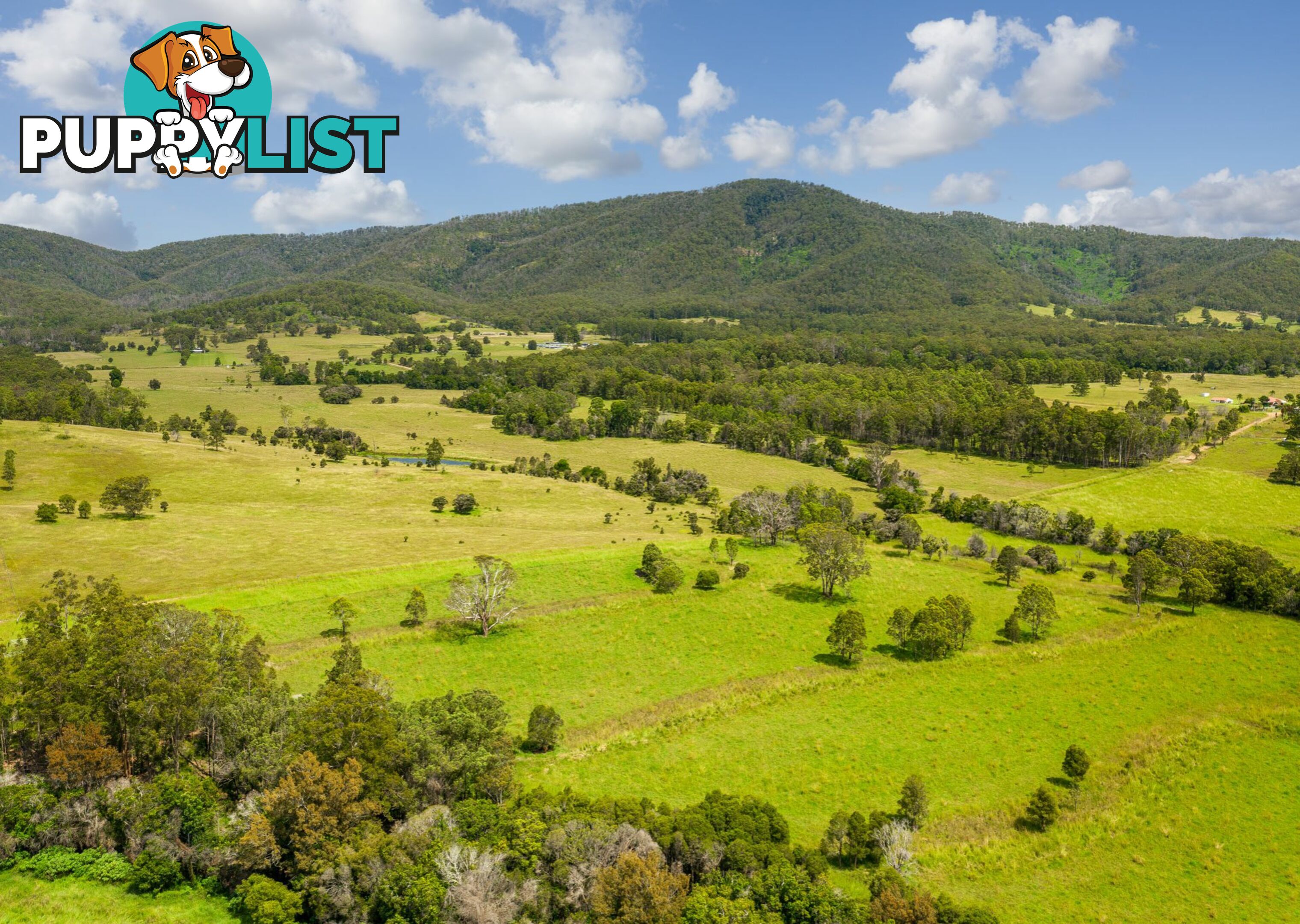 Lot 1 & 2/183 Sunshine Road HILLVILLE NSW 2430