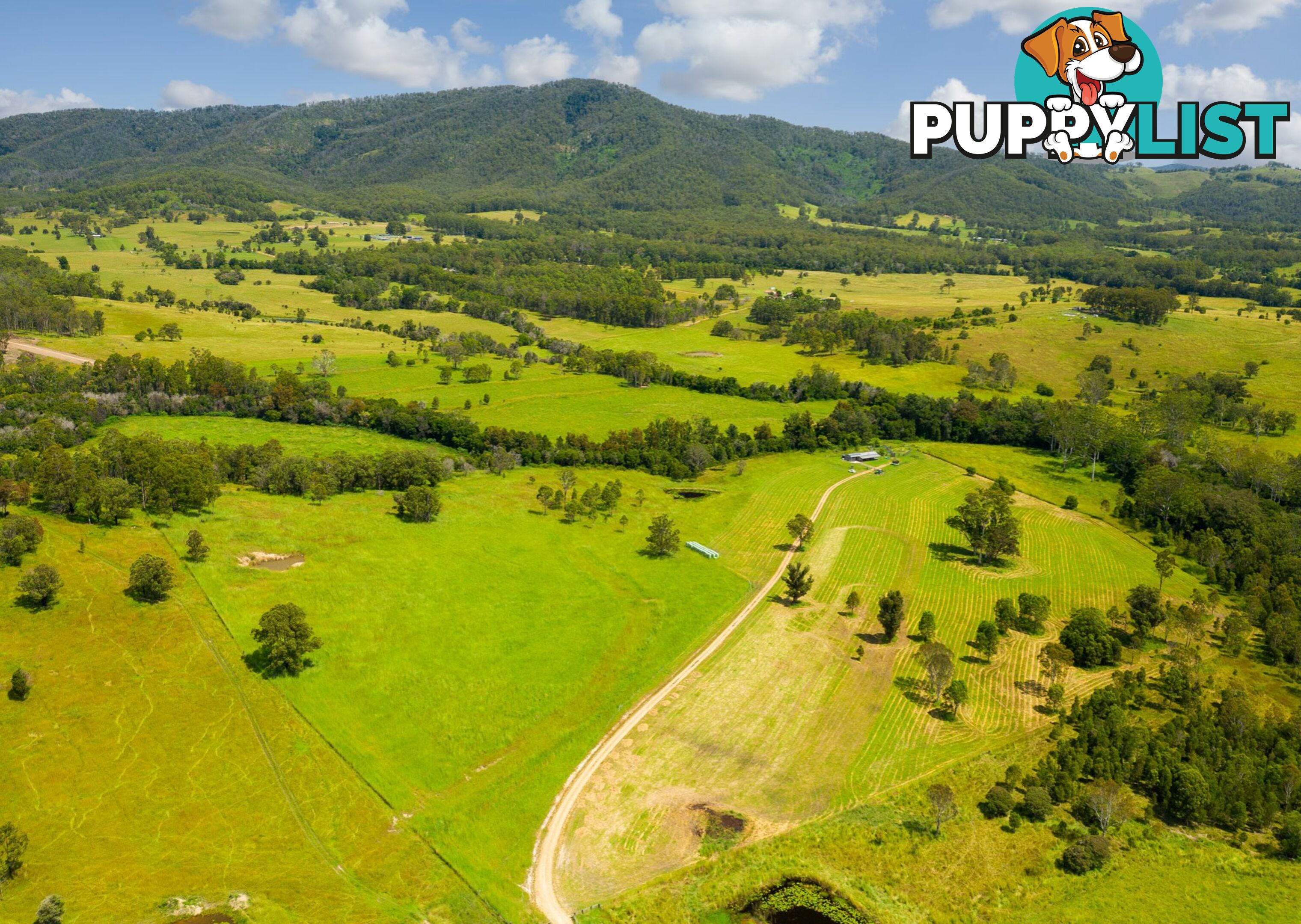 Lot 1 & 2/183 Sunshine Road HILLVILLE NSW 2430