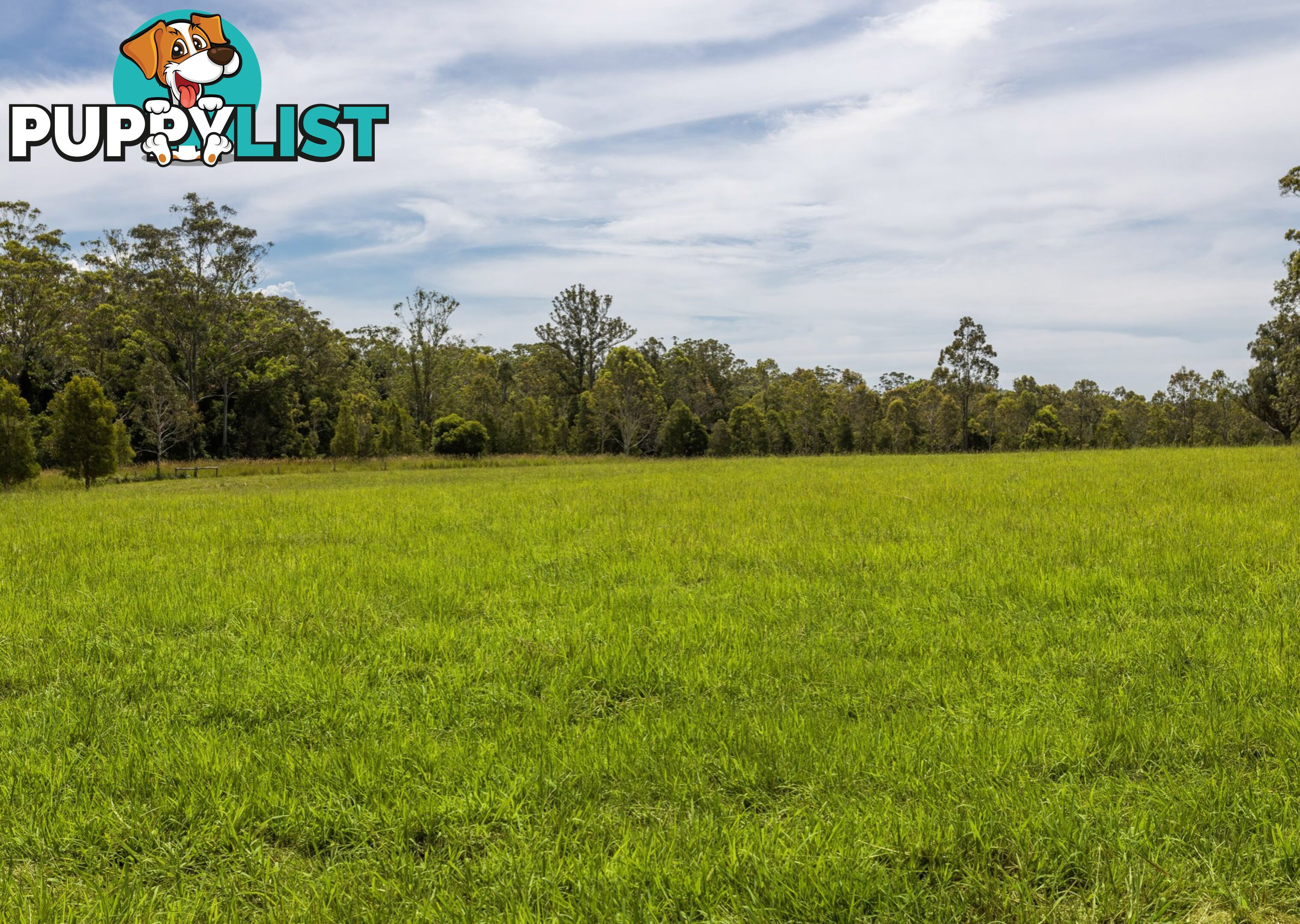 Lot 1 & 2/183 Sunshine Road HILLVILLE NSW 2430