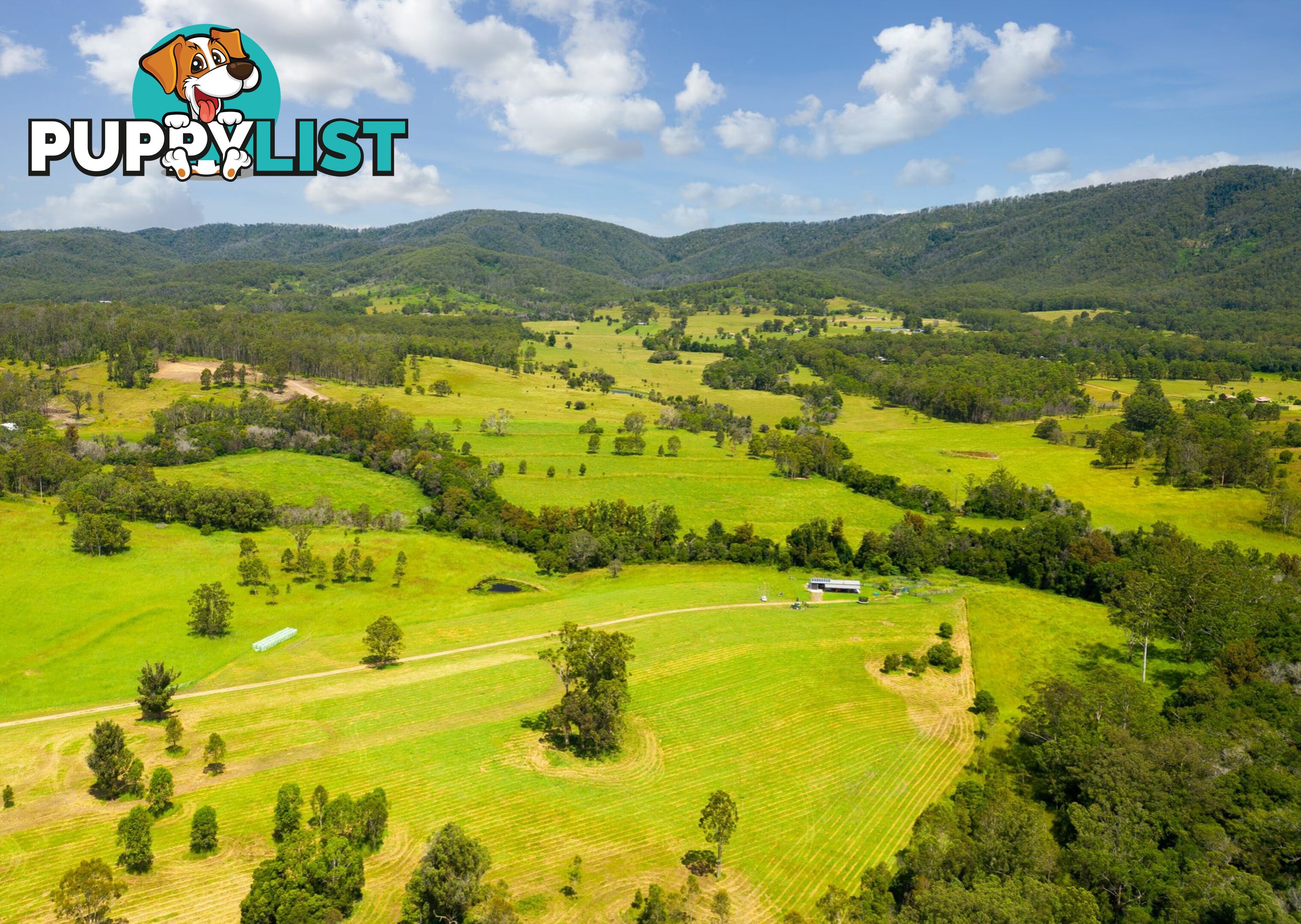 Lot 1 & 2/183 Sunshine Road HILLVILLE NSW 2430