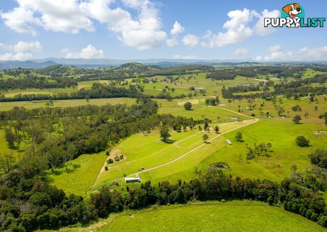 Lot 1 & 2/183 Sunshine Road HILLVILLE NSW 2430