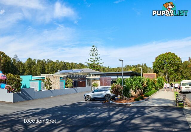 25 Headland Drive HALLIDAYS POINT NSW 2430