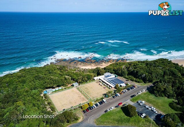 25 Headland Drive HALLIDAYS POINT NSW 2430