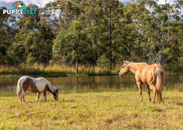 159 Bull Hill Road TINONEE NSW 2430