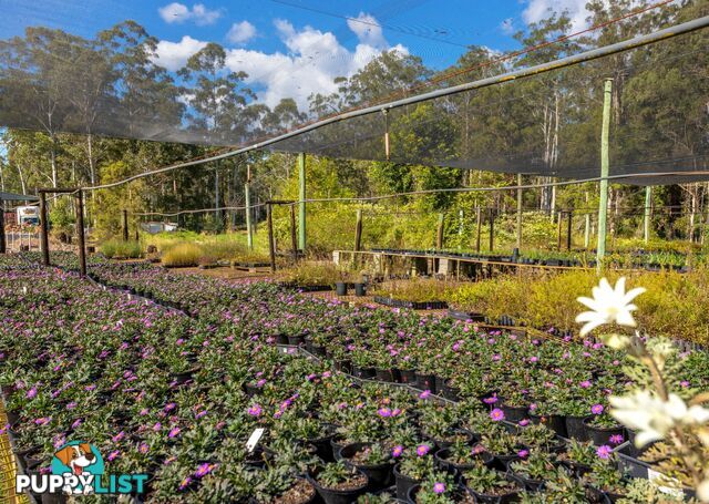 159 Bull Hill Road TINONEE NSW 2430