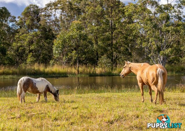 159 Bull Hill Road TINONEE NSW 2430