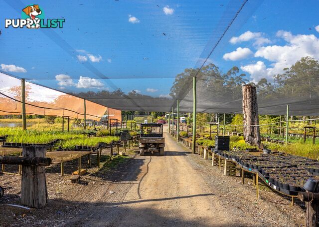 159 Bull Hill Road TINONEE NSW 2430