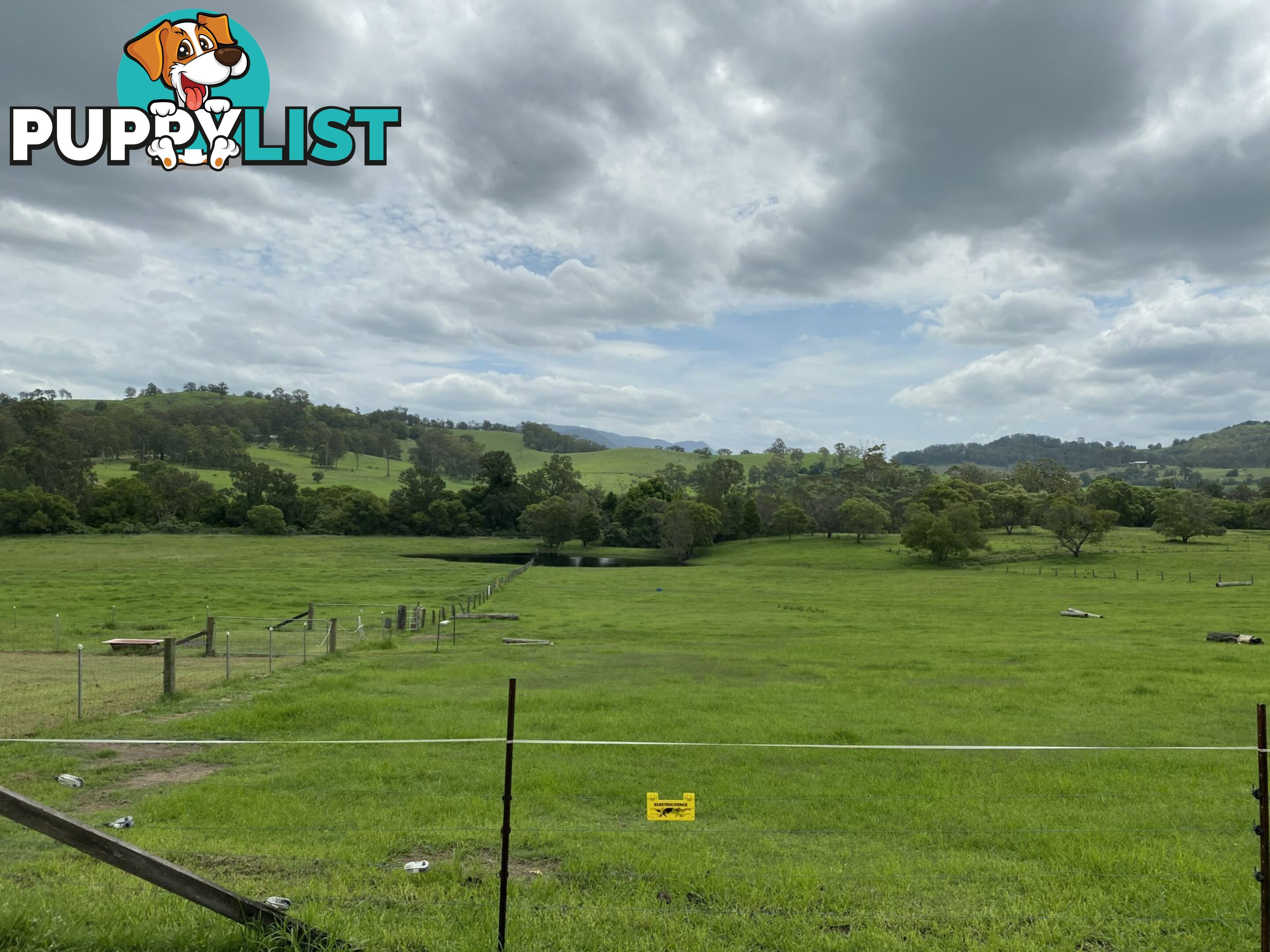 BURRELL CREEK NSW 2429