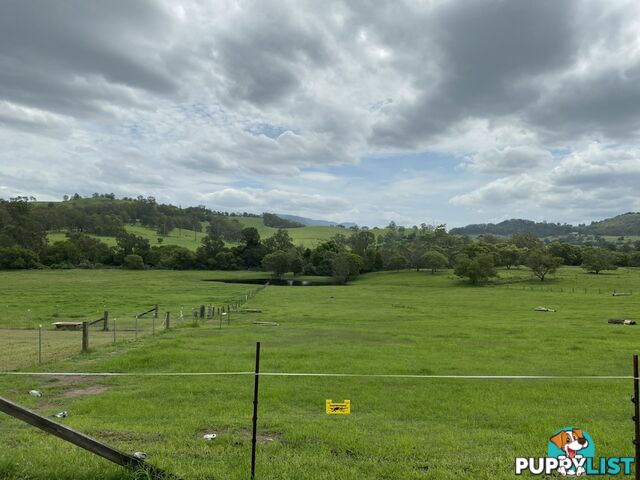 BURRELL CREEK NSW 2429