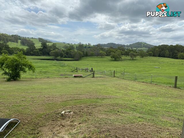 BURRELL CREEK NSW 2429