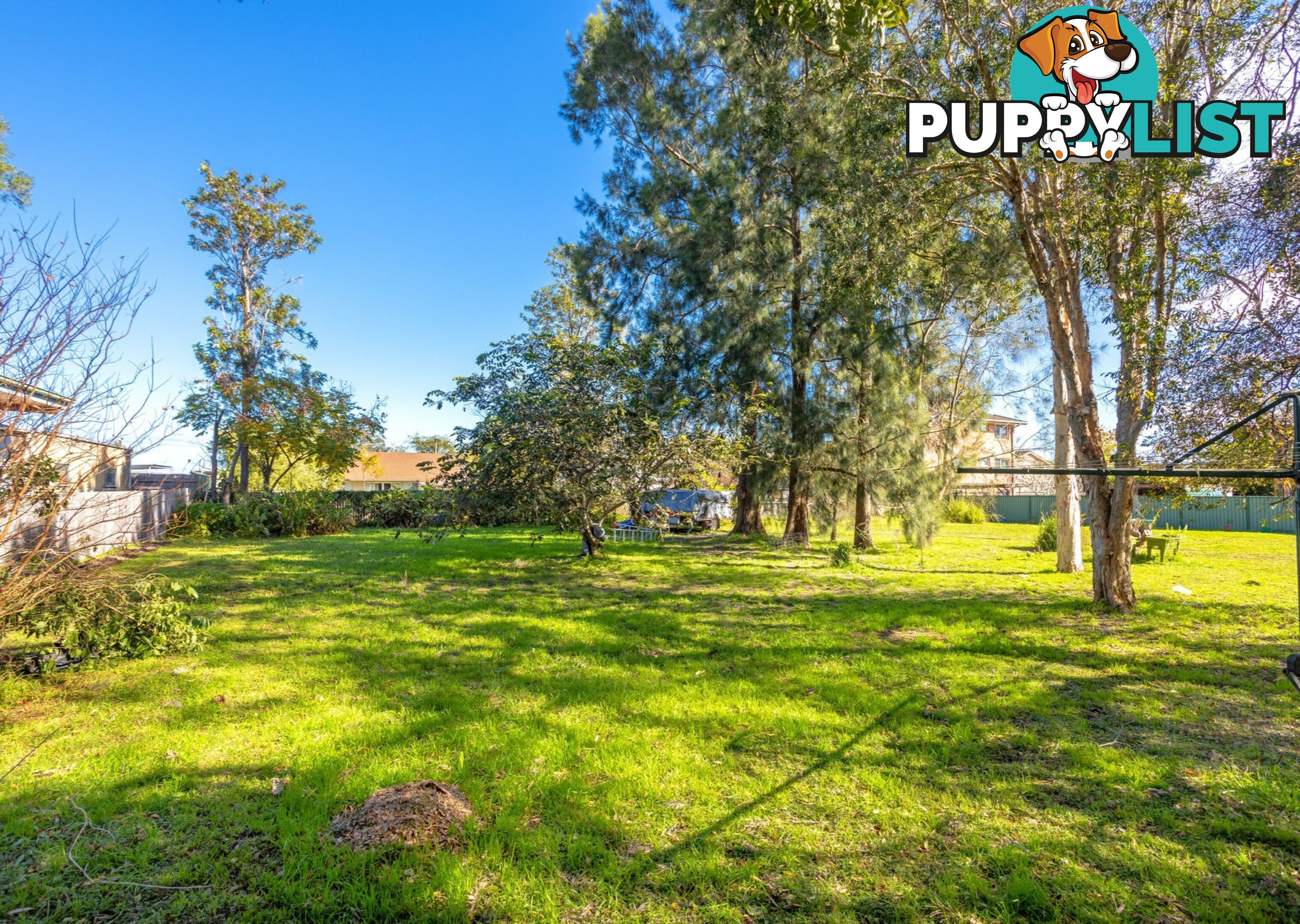 10 Stevenson Street TAREE NSW 2430