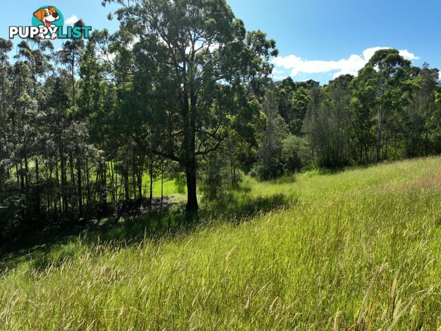 9 Bottle Brush Lane TALLWOODS VILLAGE NSW 2430