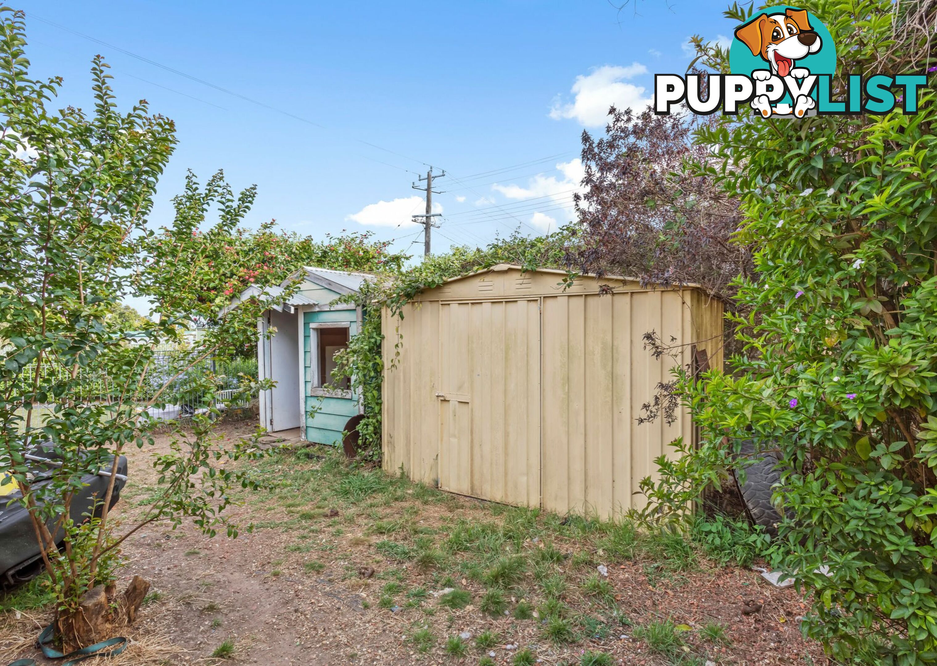 1 Pettitt Avenue TAREE NSW 2430