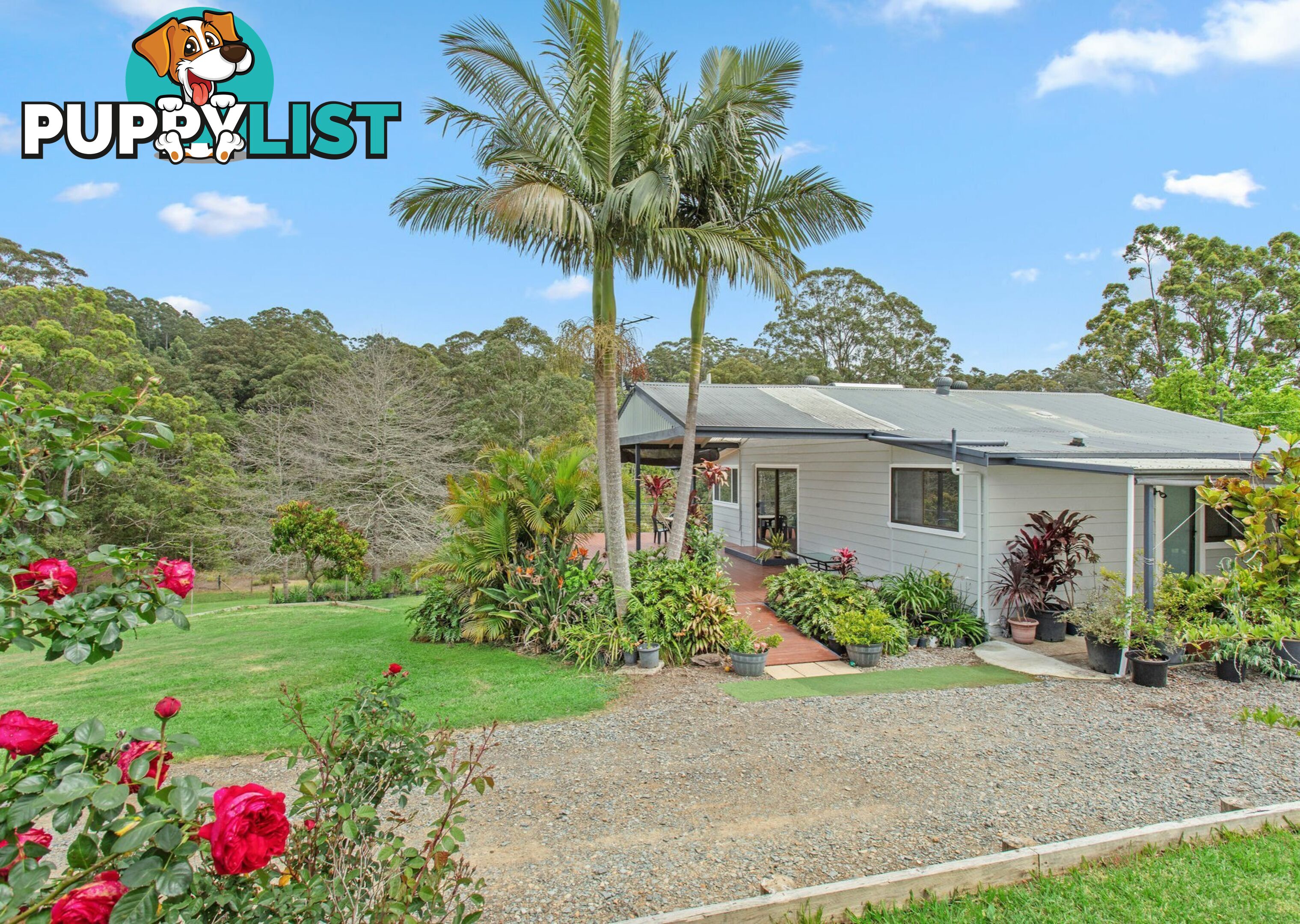 88 McCaffreys Road HANNAM VALE NSW 2443