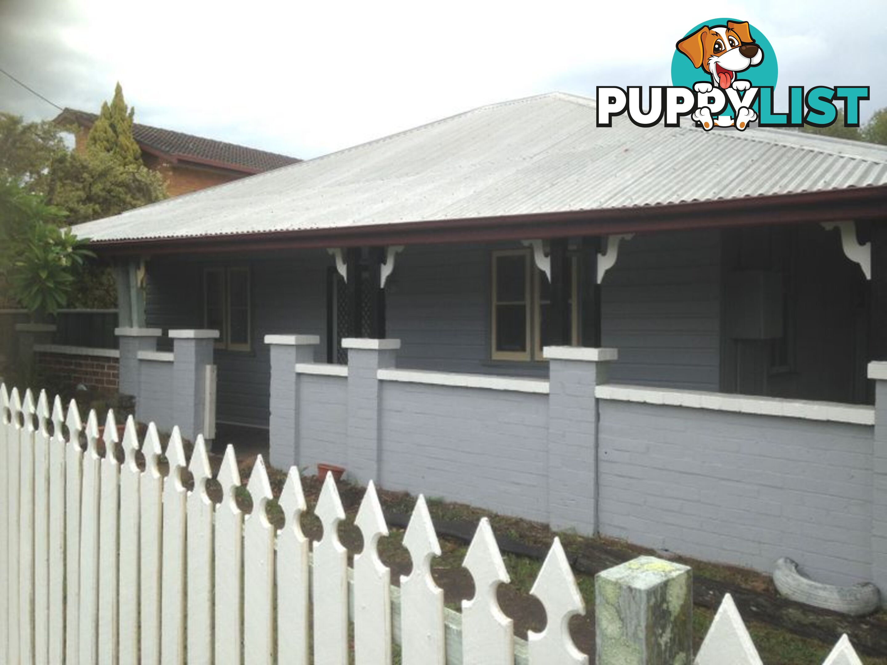 249 Victoria Street TAREE NSW 2430