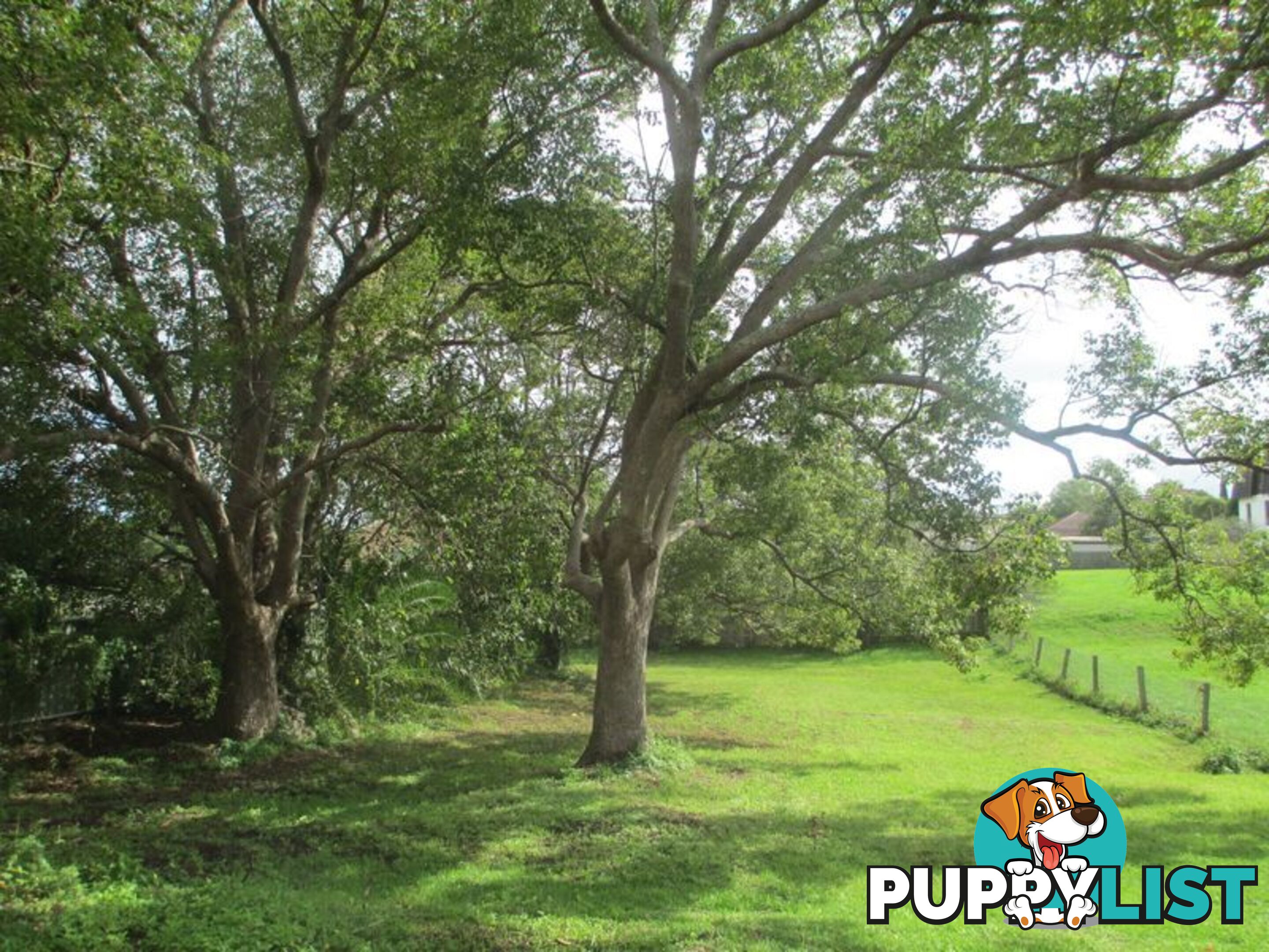 249 Victoria Street TAREE NSW 2430